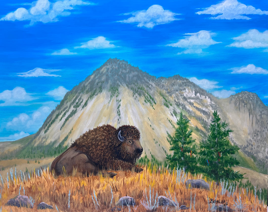 Bear Butte Buffalo